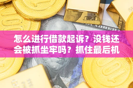 济南怎么进行借款起诉？没钱还会被抓坐牢吗？抓住最后机会！