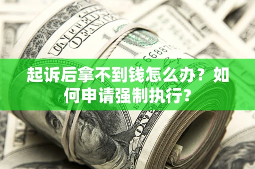 济南起诉后拿不到钱怎么办？如何申请强制执行？