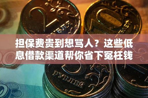 济南担保费贵到想骂人？这些低息借款渠道帮你省下冤枉钱