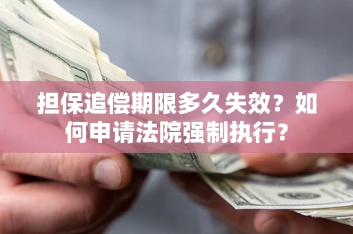 济南担保追偿期限多久失效？如何申请法院强制执行？