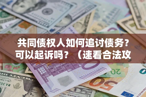 济南共同债权人如何追讨债务？可以起诉吗？（速看合法攻略）